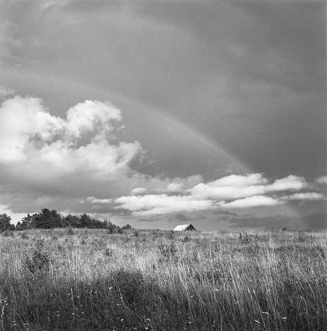 2009г